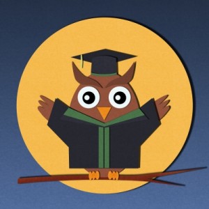 owl wisdom